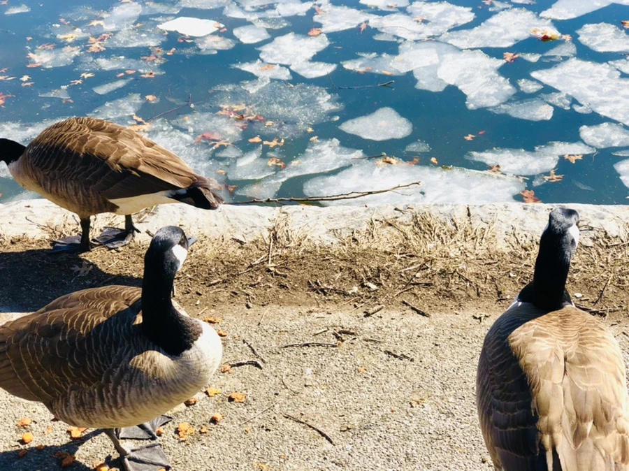 IMG_5104.jpg?type=w966