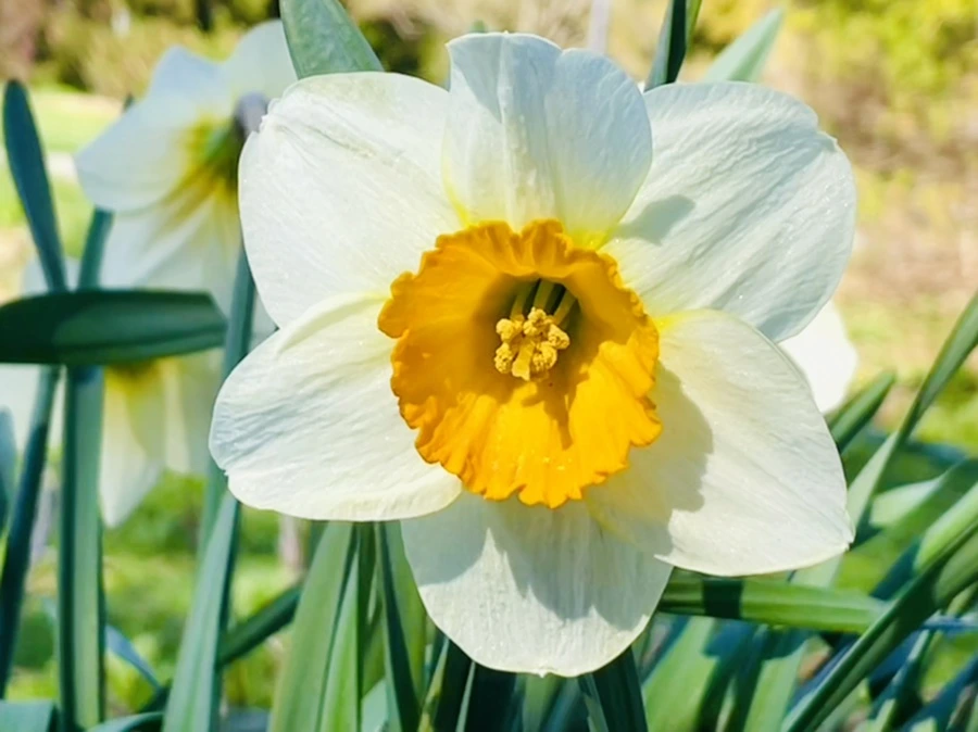 IMG_1539.jpg?type=w966