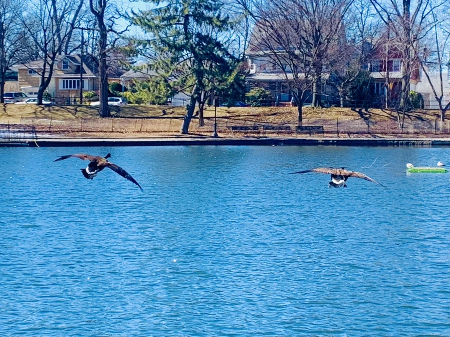 IMG_6736.jpg?type=w966