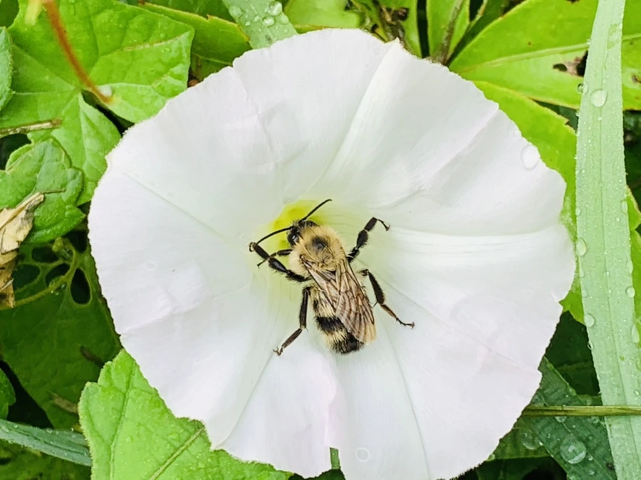 IMG_4459.jpg?type=w966