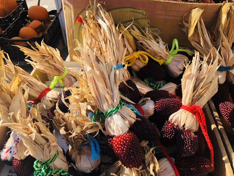 IMG_0555.jpg?type=w966