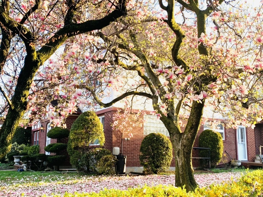 IMG_2437.jpg?type=w966