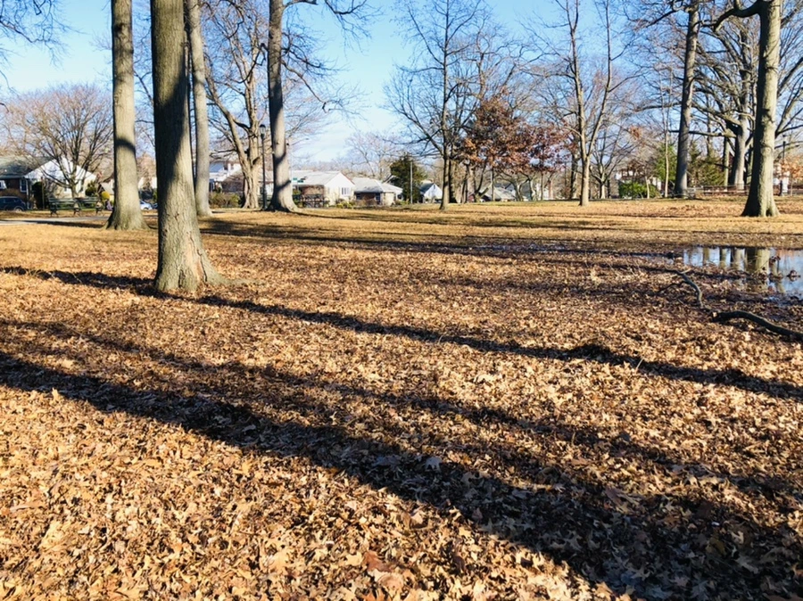 IMG_0255.jpg?type=w966