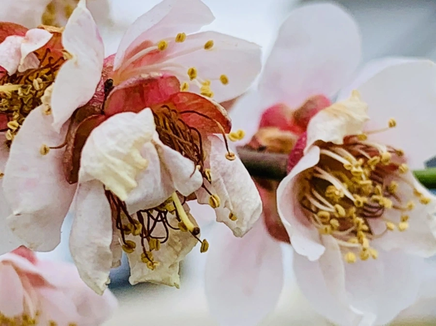 IMG_3639.jpg?type=w966