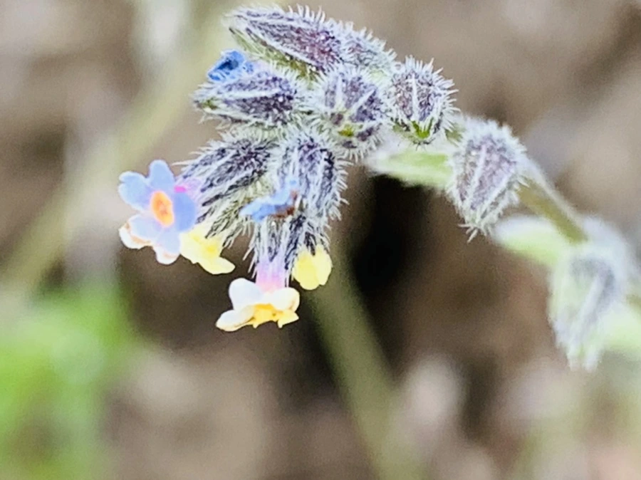 IMG_8670.jpg?type=w966