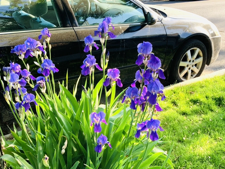 IMG_3363.jpg?type=w966