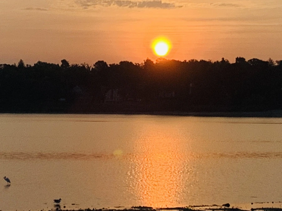 IMG_7729.jpg?type=w966