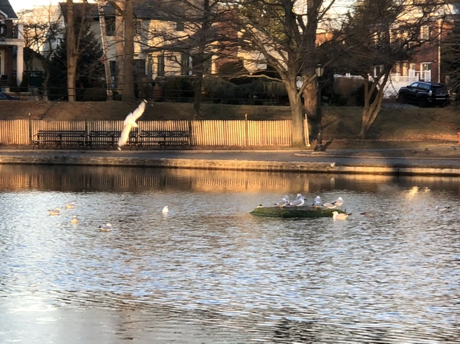 IMG_0770.jpg?type=w966