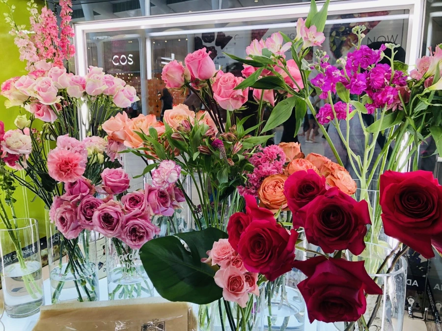 IMG_6785.jpg?type=w966