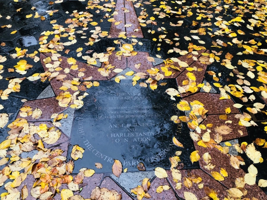 IMG_3131.jpg?type=w966