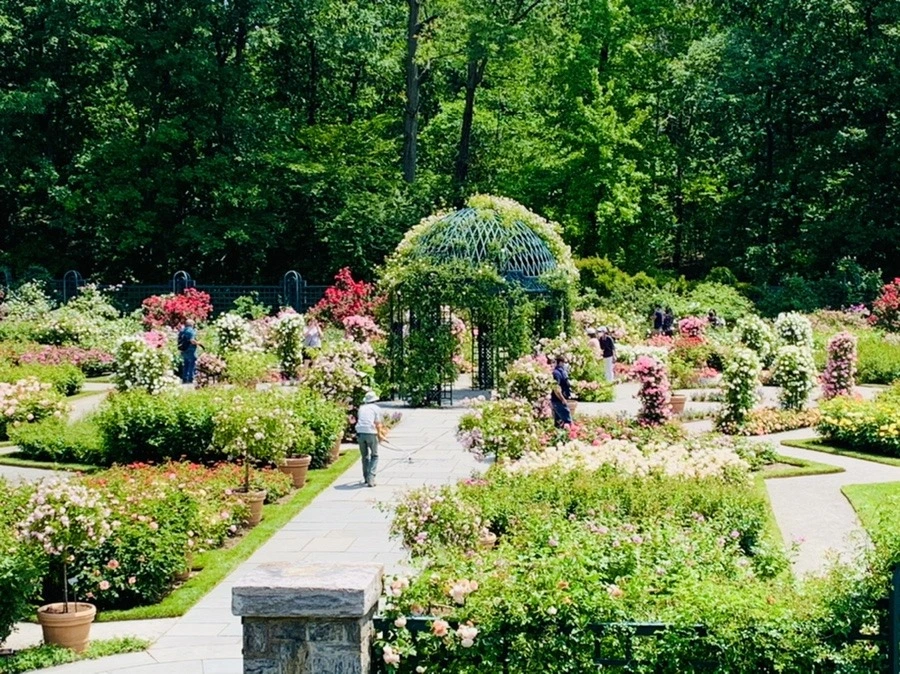 xdq-OawyQj9p8WQkyhANAZ1sVvU