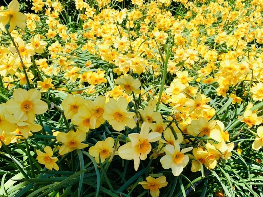 daJVIfyDwPyeJ9fyEQpR_u9TSaY