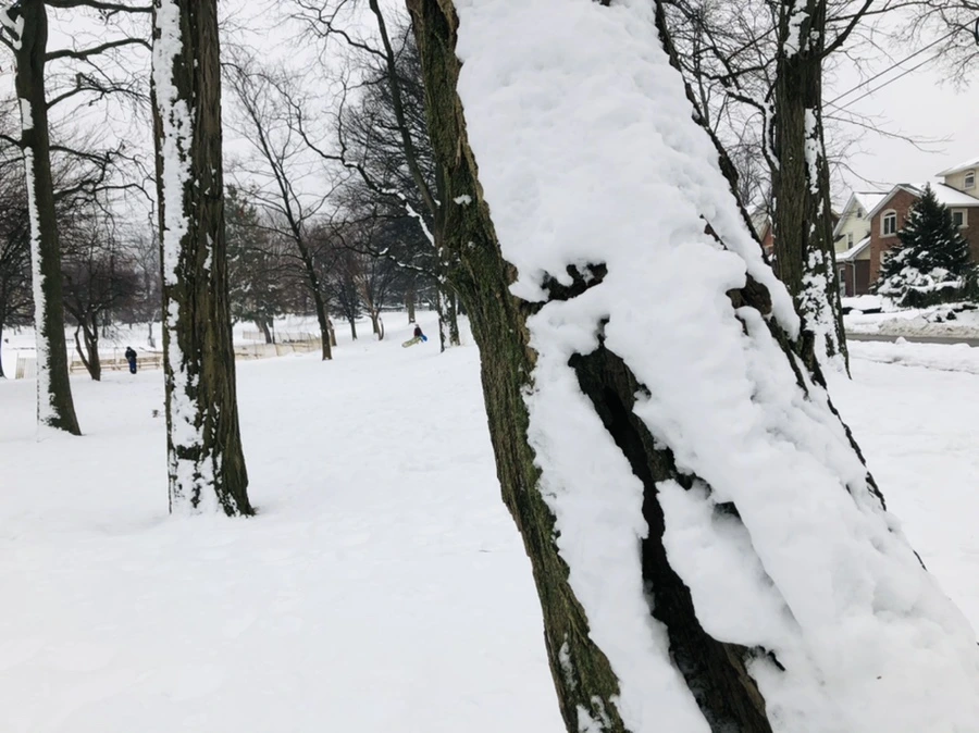 IMG_1570.jpg?type=w966