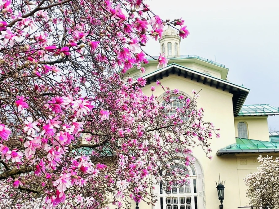 IMG_7384.jpg?type=w966