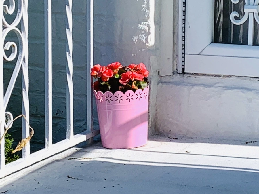 IMG_0456.jpg?type=w966