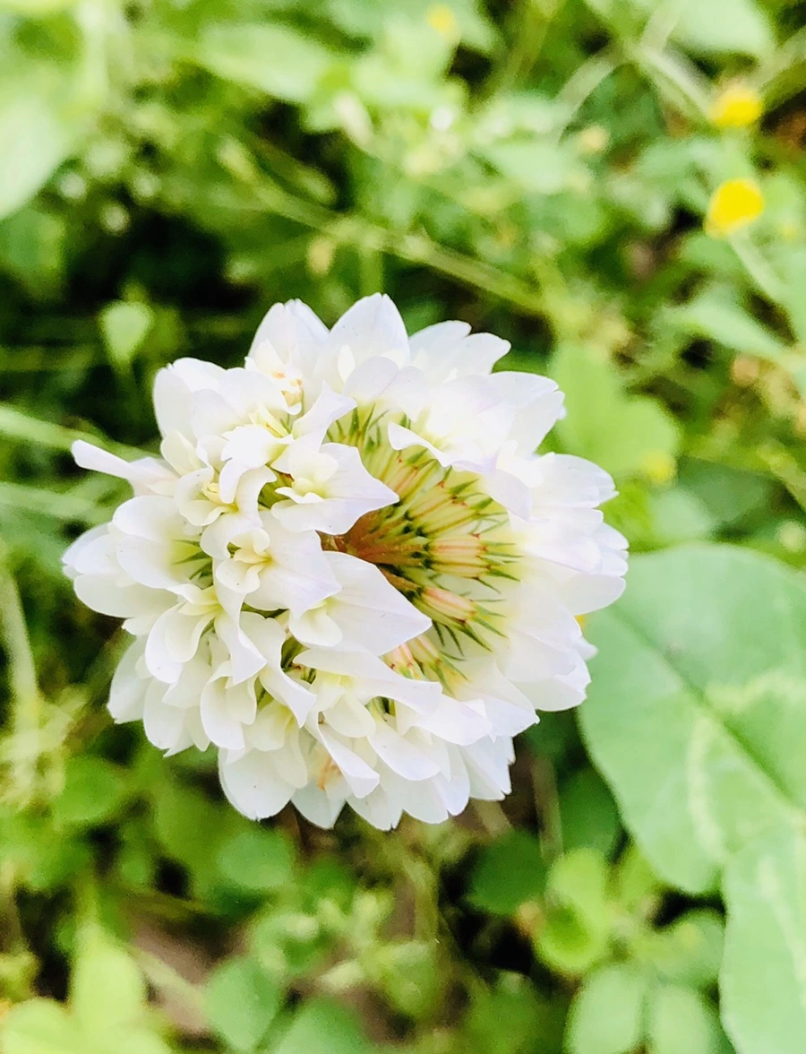 IMG_7945.jpg?type=w966