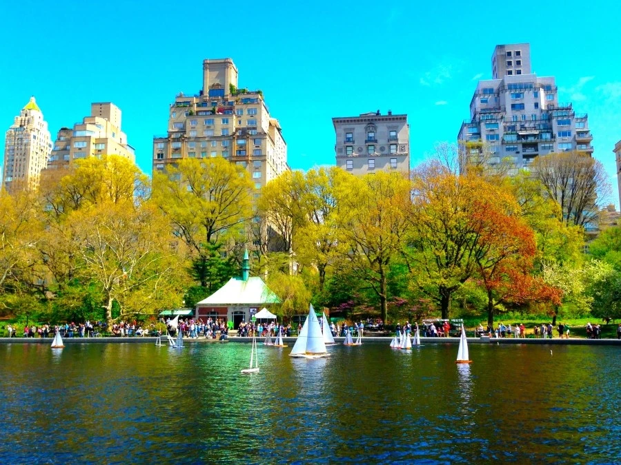 IMG_4608.JPG?type=w1