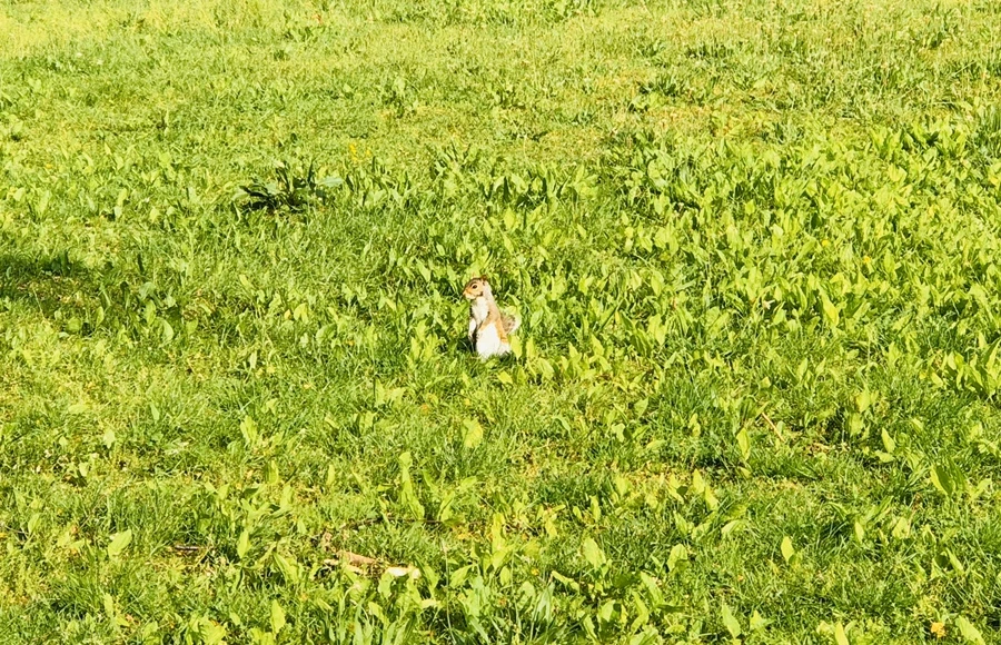 IMG_8316.jpg?type=w966