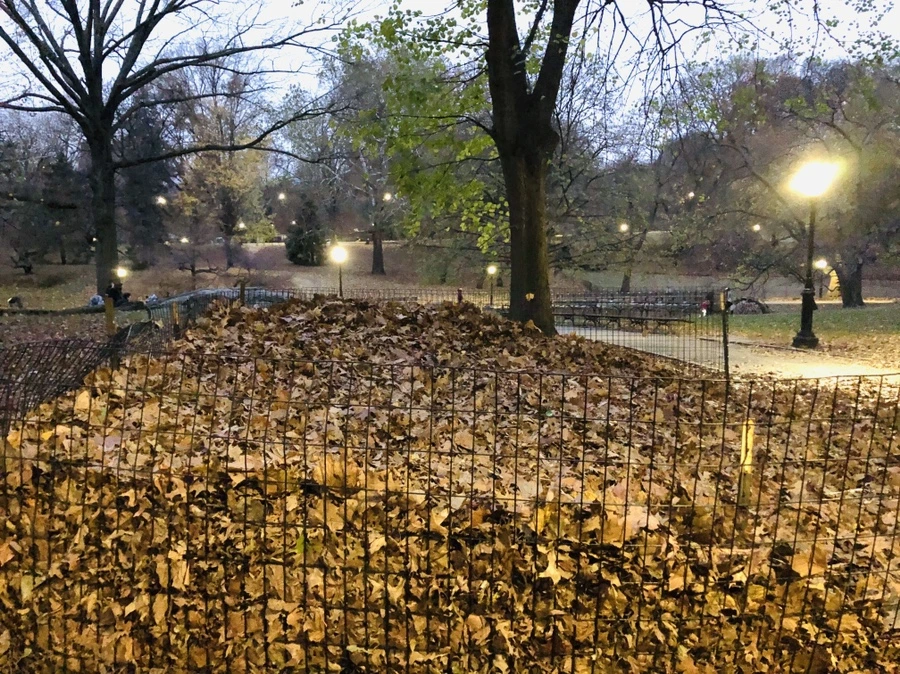 IMG_5174.jpg?type=w966