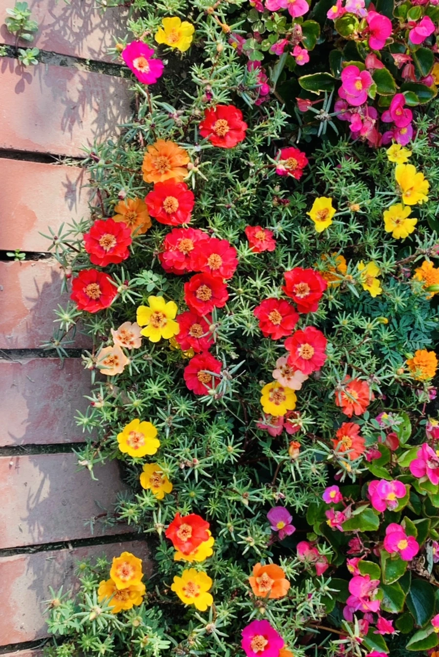 IMG_6648.jpg?type=w966