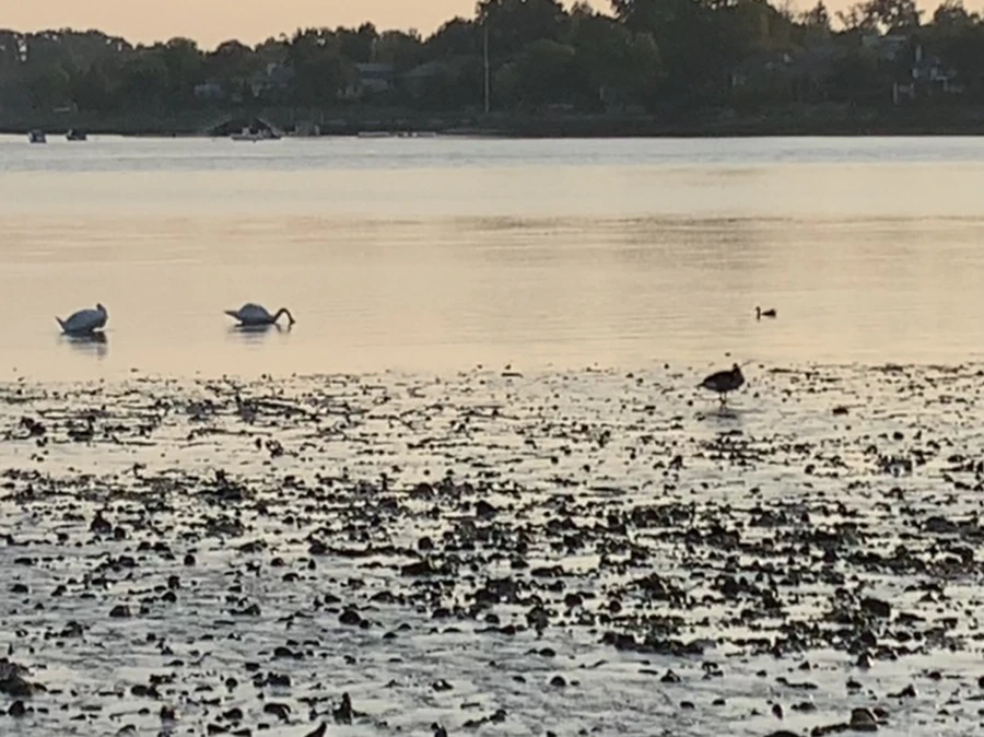 IMG_9759.jpg?type=w966