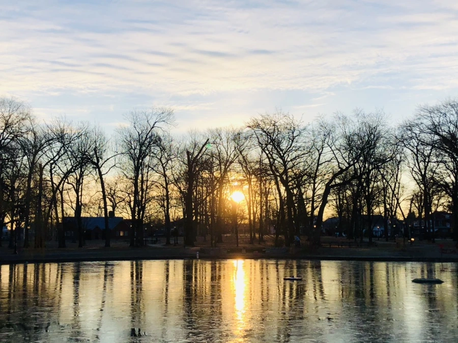 IMG_4631.jpg?type=w966