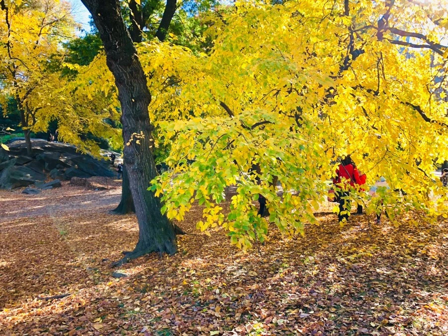 IMG_7654.jpg?type=w966