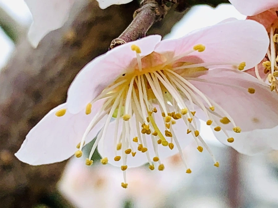 IMG_3601.jpg?type=w966