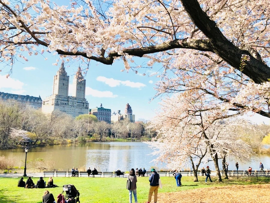 IMG_4513.jpg?type=w966