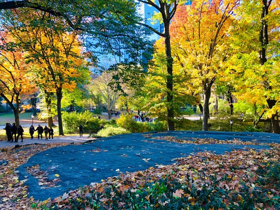 IMG_7646.jpg?type=w966