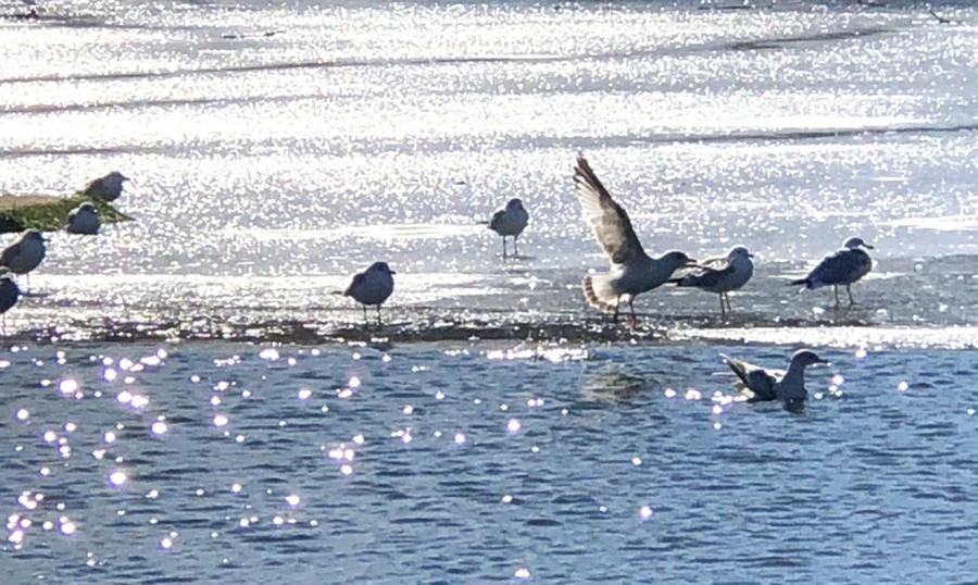 IMG_6699.jpg?type=w966