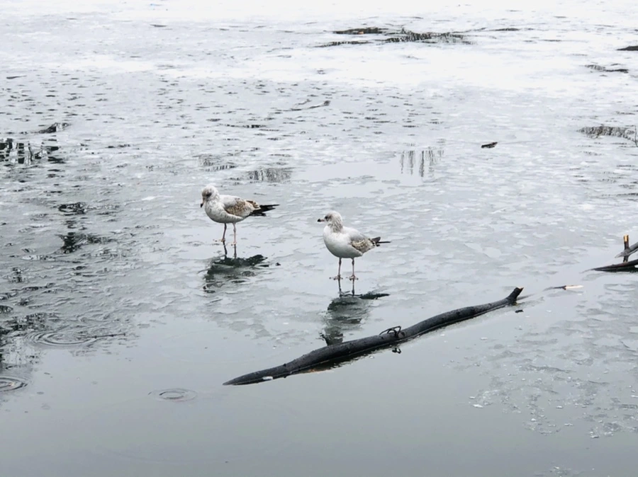 IMG_5611.jpg?type=w966