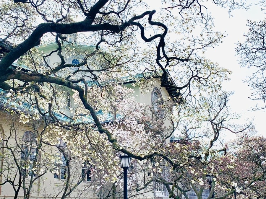 bbtJIlgnOtpXyWFBHBDXoRjnWhU