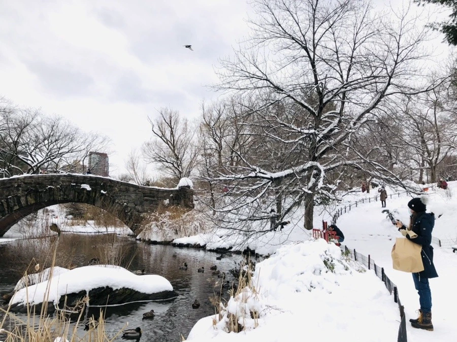 VkKagQqKH92yv51IqWIiDOJGuLo