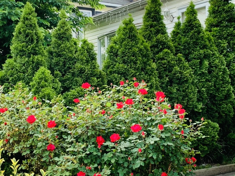 IMG_4940.jpg?type=w966