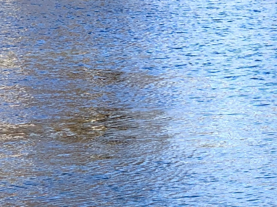 IMG_3795.jpg?type=w966