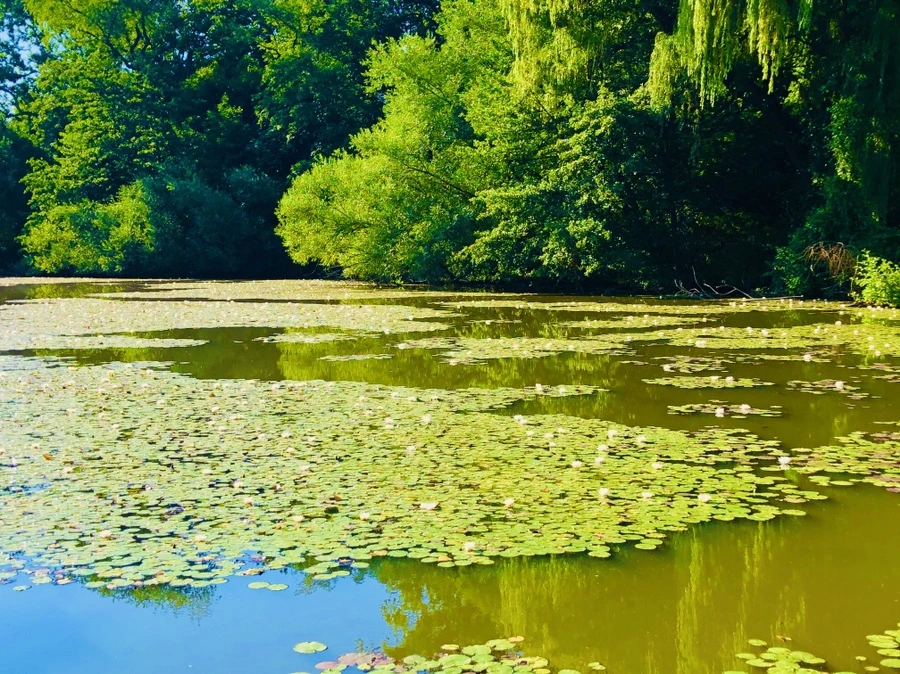 IMG_3933.jpg?type=w966