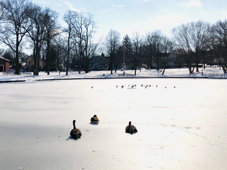 IMG_0095.jpg?type=w966