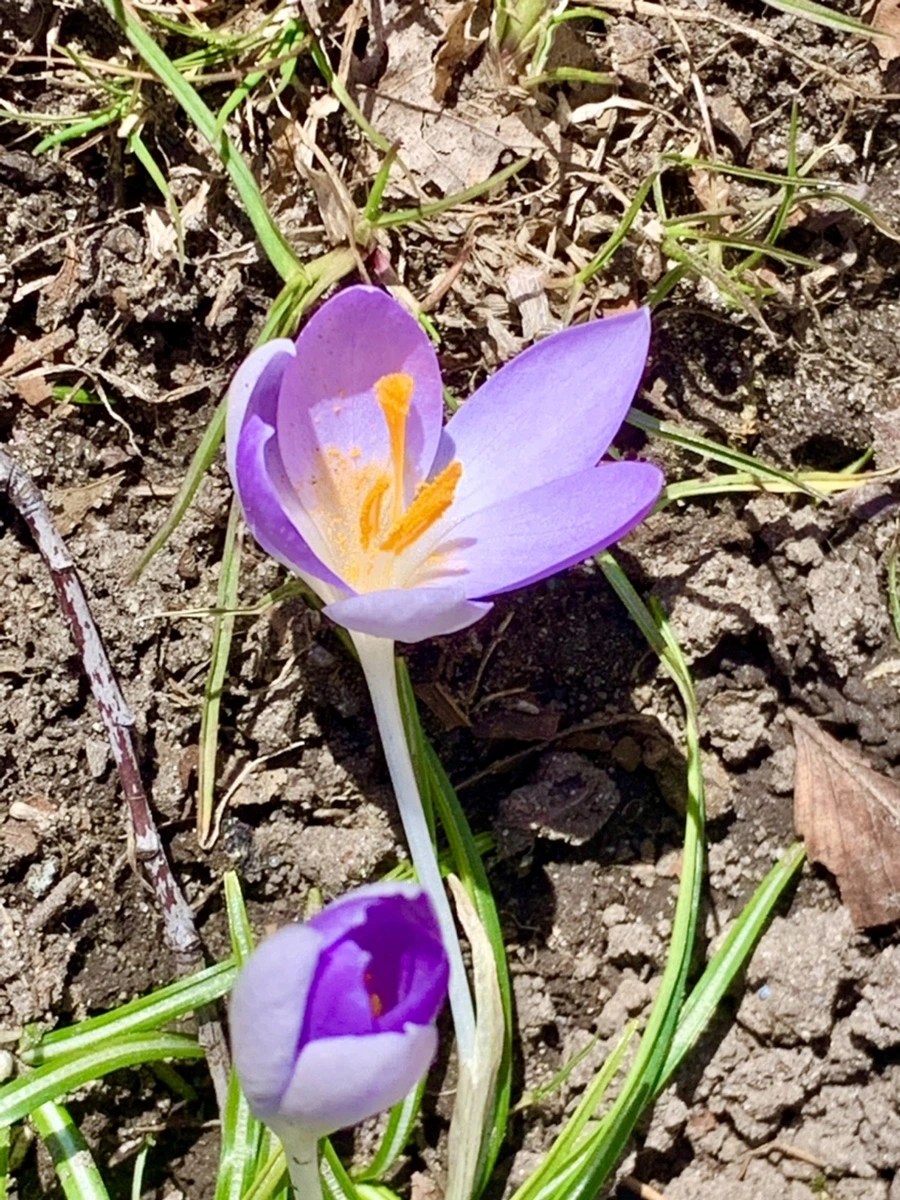 IMG_8217.jpg?type=w966