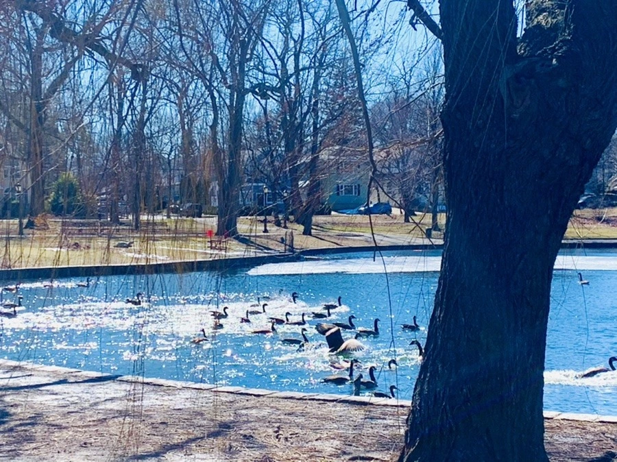 aa6vFPlIiX-zhnUlVIy2-Ibn5W4