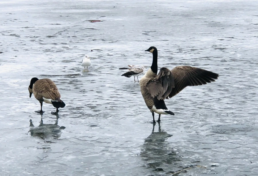 IMG_6158.jpg?type=w966