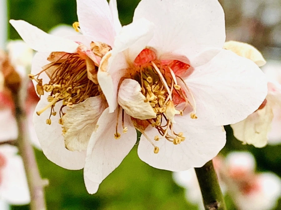 IMG_3577.jpg?type=w966