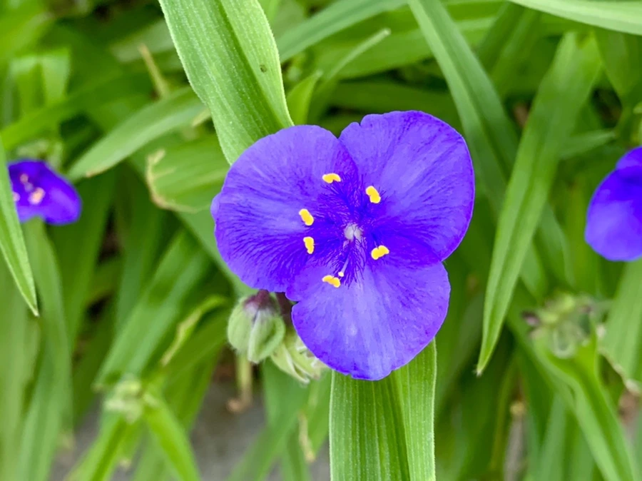 IMG_3516.jpg?type=w966