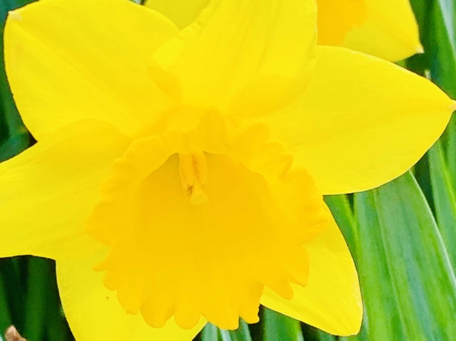 IMG_5890.jpg?type=w966