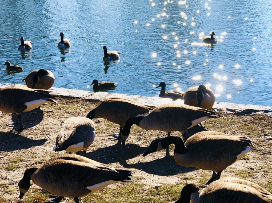 IMG_0209.jpg?type=w966