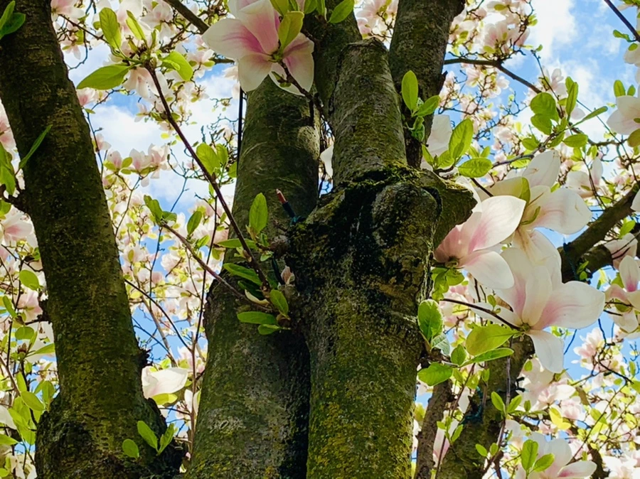 IMG_3880.jpg?type=w966