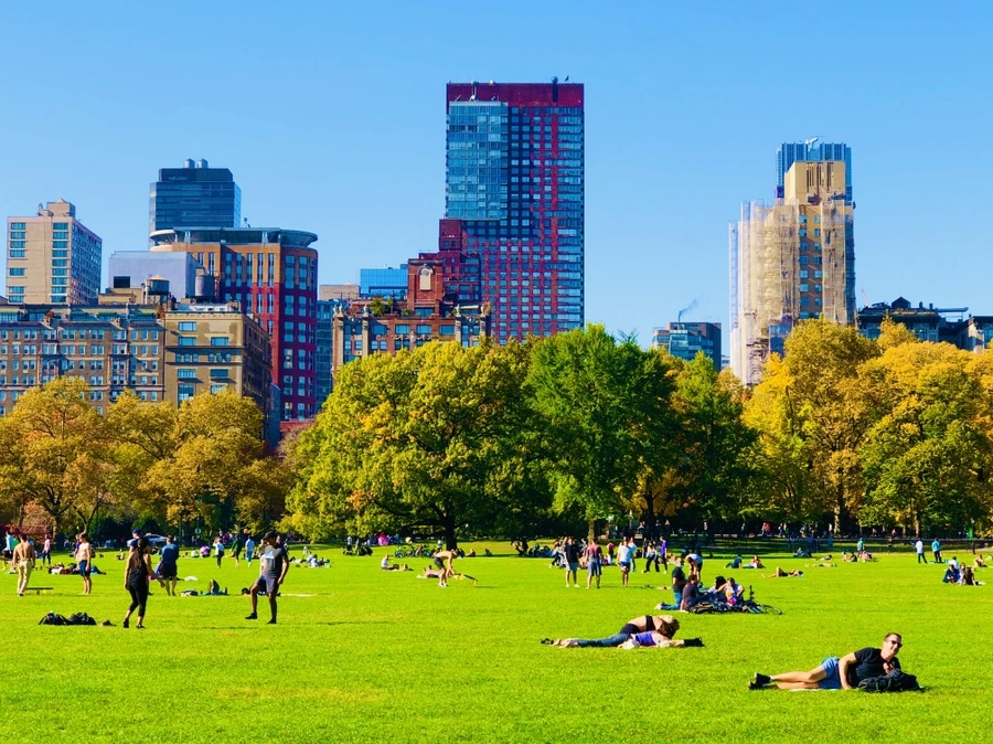 IMG_3805.jpg?type=w966