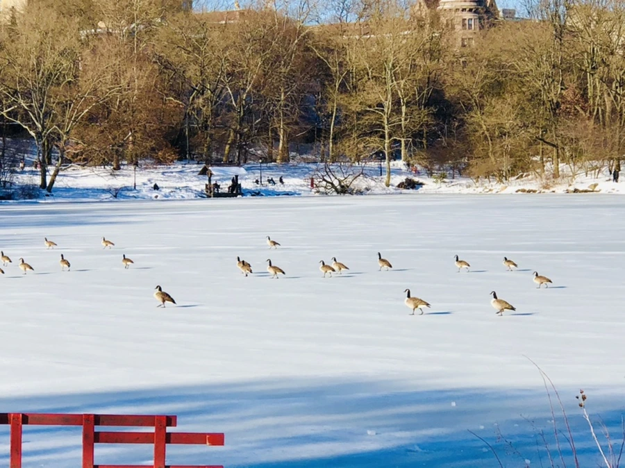 IMG_9890.jpg?type=w966