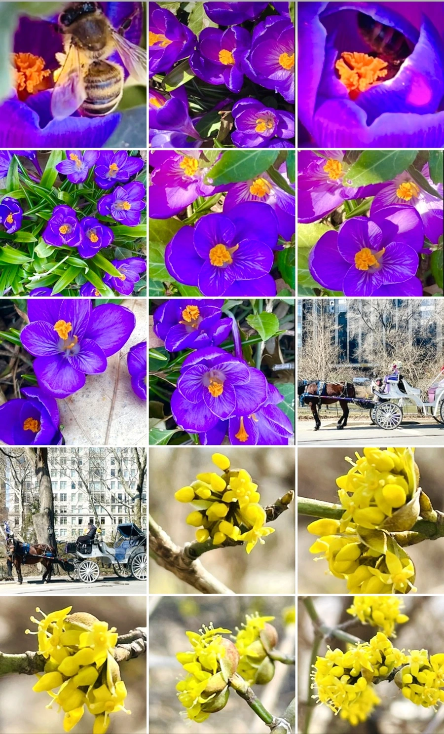 IMG_5644.jpg?type=w966