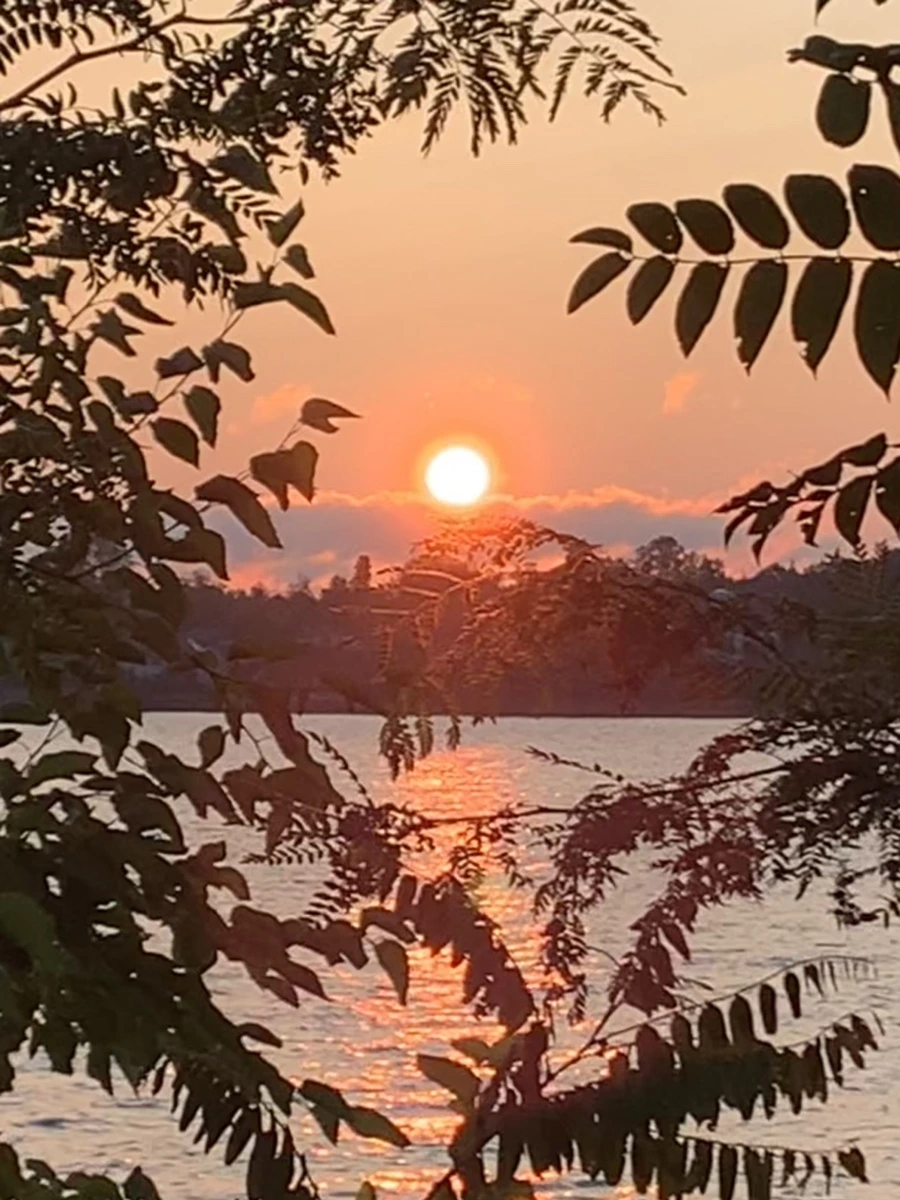 IMG_5484.jpg?type=w966